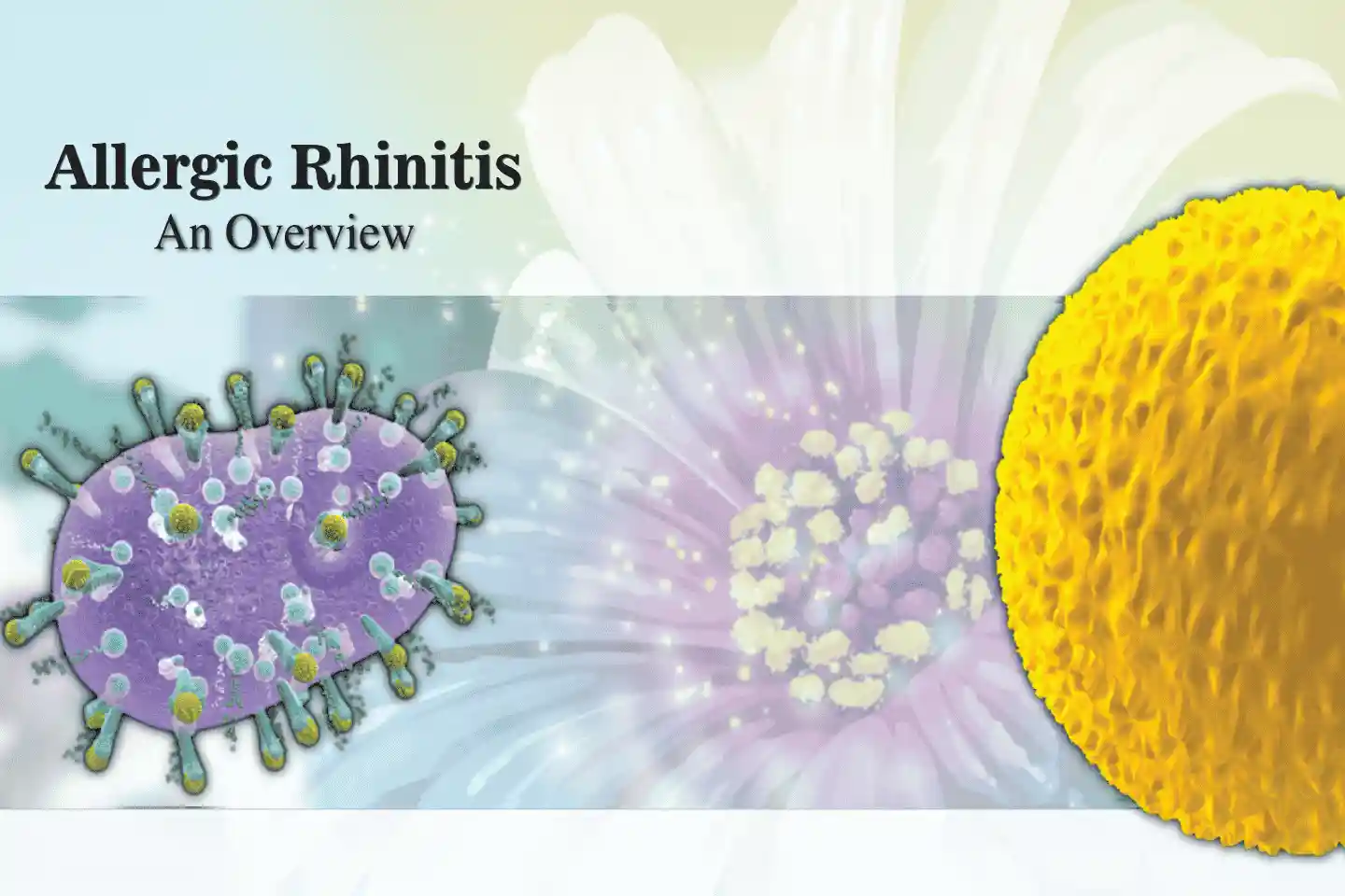 Allergic Rhinitis